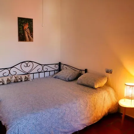 Casa Paradis