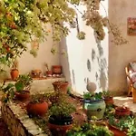 Casa Paradis Hébergement de vacances *