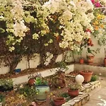Casa Paradis *