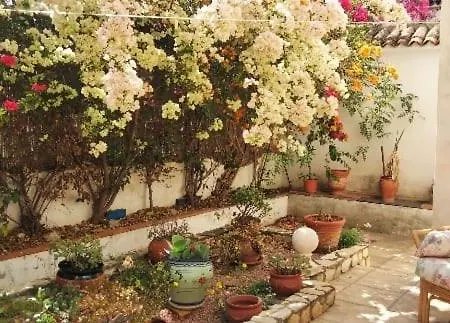 Casa Paradis *
